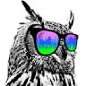 Meet your Posher, Jaylin